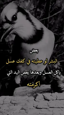 #افضل_عبارة_لها_تثييت #عبارات_جميلة_وقويه😉🖤 #عبارات 