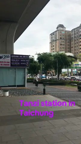 Tanzi station