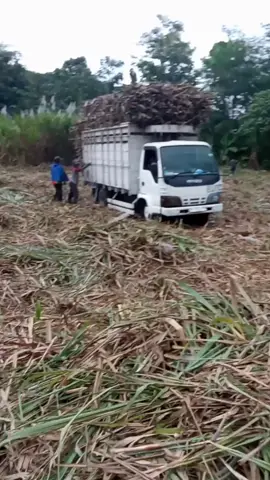 ngangkak bos #fyp #viralvideo #bismilahfypamin 