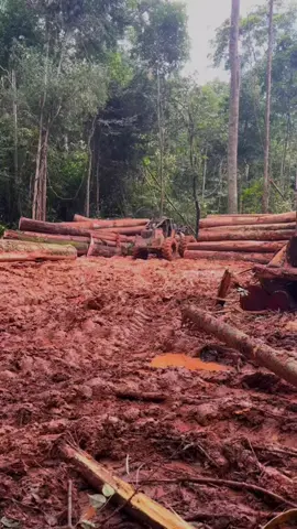 #mafiadatora🚜😎 #fyyyyyyyyyyyyyyyy 