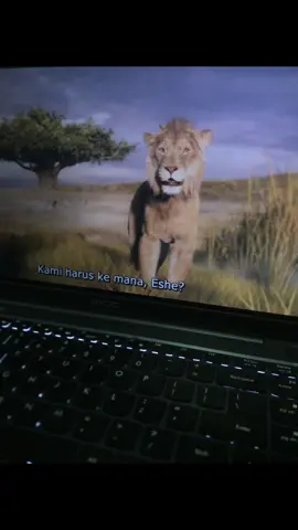 ##mufasa #lionking #fypage #xyzabc #fotolive #xzyabc 