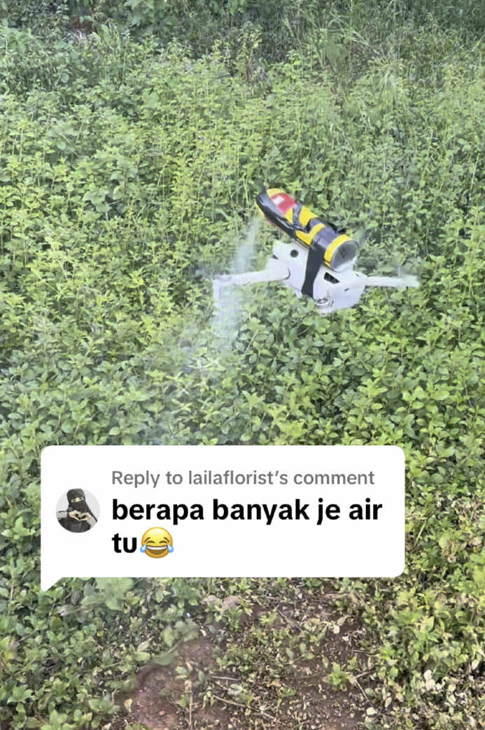 Replying to @lailaflorist Air sikit? Hah tengok betul-betul. Sekali sembur, pucuk pun lencun!😎  #doremidrone #durianmusangking #musangking #durian #djiagriculture #djit50 #drone #dronepilot 
