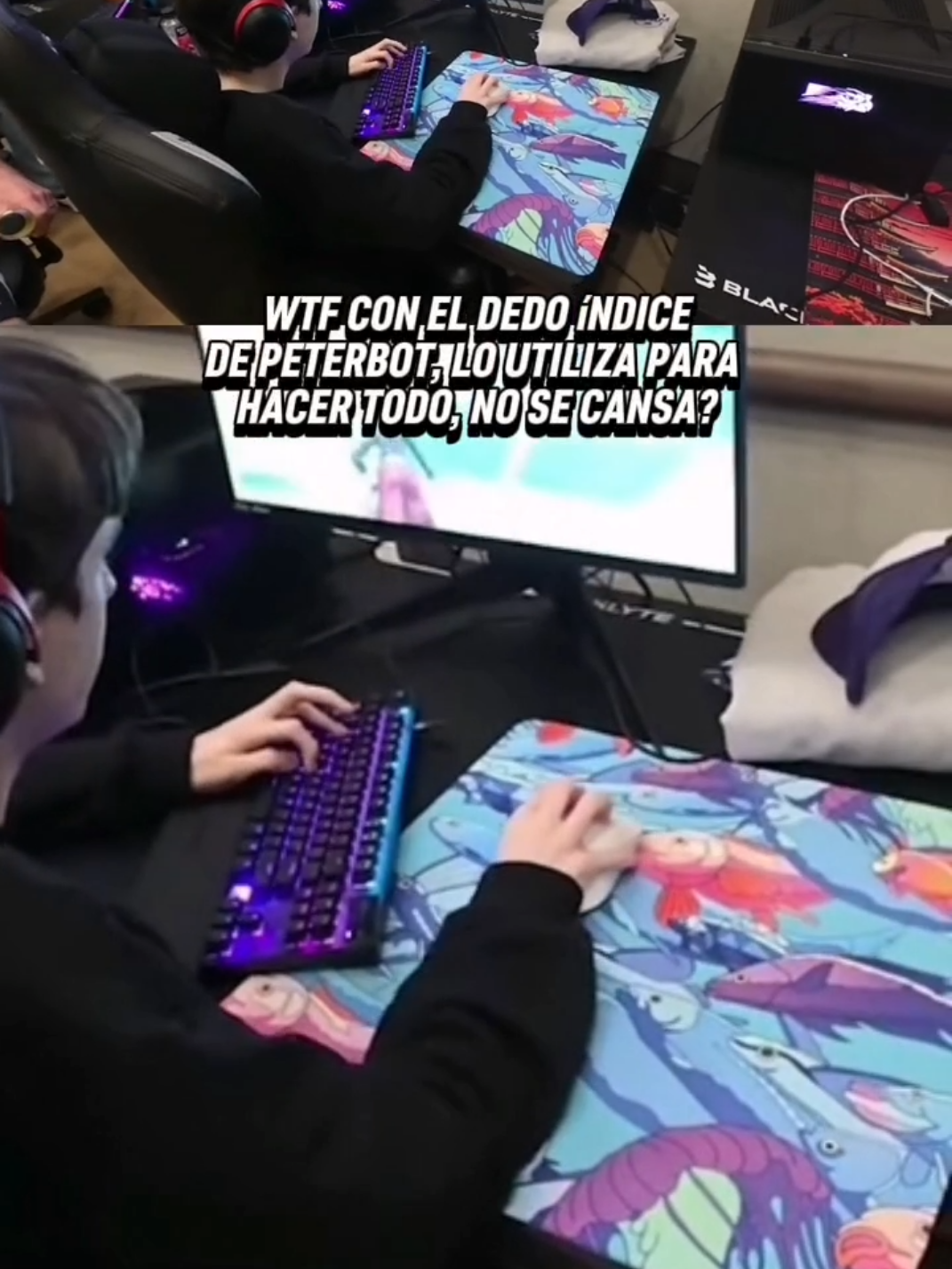 Wtf con como juega Peter en la pro am #Fortnite #proplayer #peterbot 