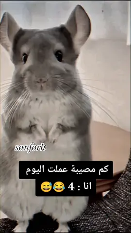 #في هذا اليوم #منشن #منشن_للي_تحبه #تريند_التيك_توك #هاشتاغات_تيك_توك #اكسبلورexplore #الشعب_الصيني_ماله_حل😂😂 #اكسبلور #تريند 