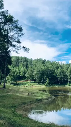 🍃🌲#fyp #xybca #lagugayo #tiktokgayo 