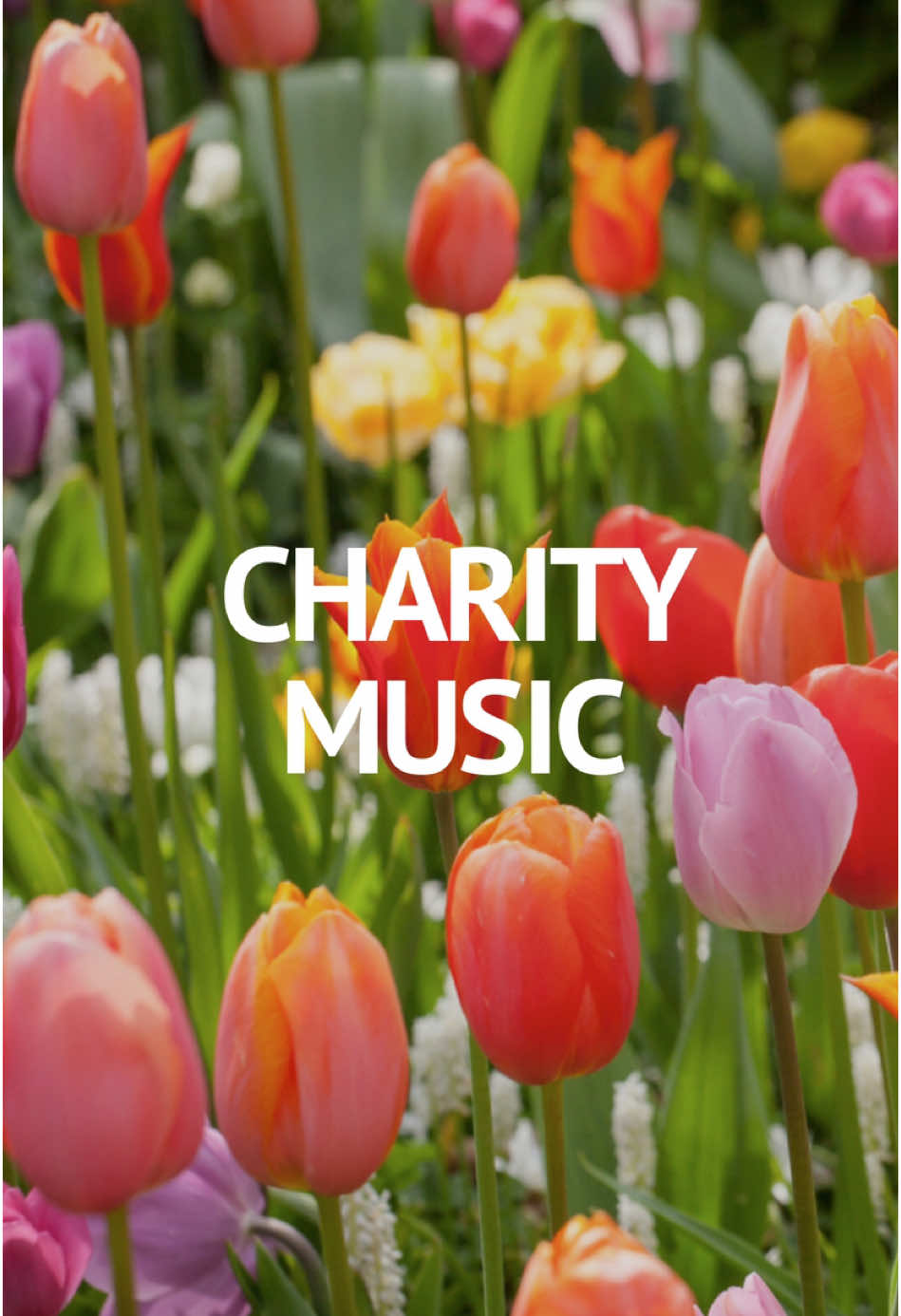 Charity Music #charitymusic #backgroundmusic #musicvideo #viralmusic #backgroundmusicforvideos 