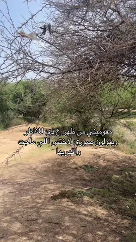ليتهم  يدرون اني تمنيت قعدت معها#like #follow #explore #fyp #happy #sister #family 