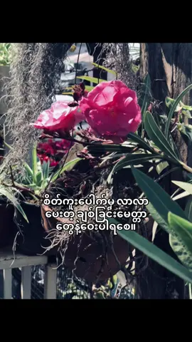 ချစ်ခြင်းမေတ္တာဆိုတာရိုးသားရတယ်❤️‍🩹 #fyppppppppppppppppppppppp#foryoupage#fypシ#fypシ゚viral🖤video#song#viwes#crd#sosad😭#feelings 