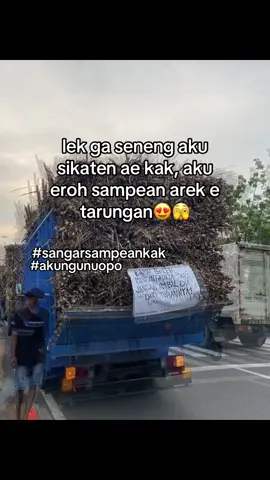 #fyptruk #teburace2025 #masukberanda #cantermania 