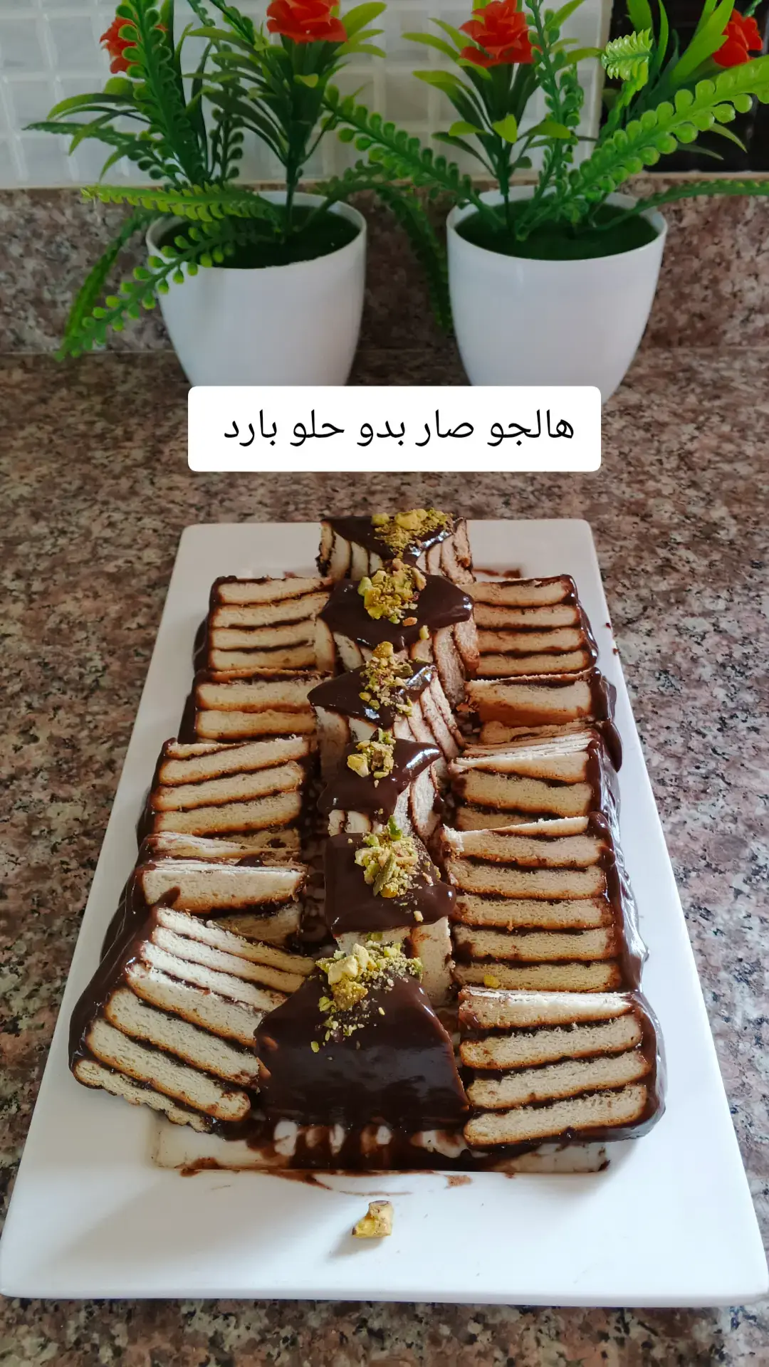 #ليزي_كيك #حلا_بارد #حلويات #حلويات_سريعه #fyp #dianaalhasan04 #viralvideo #foryoupage #viral #foryou #tiktok #تصميم_فيديوهات🎶🎤🎬 #capcut #الشعب_الصيني_ماله_حل😂😂 