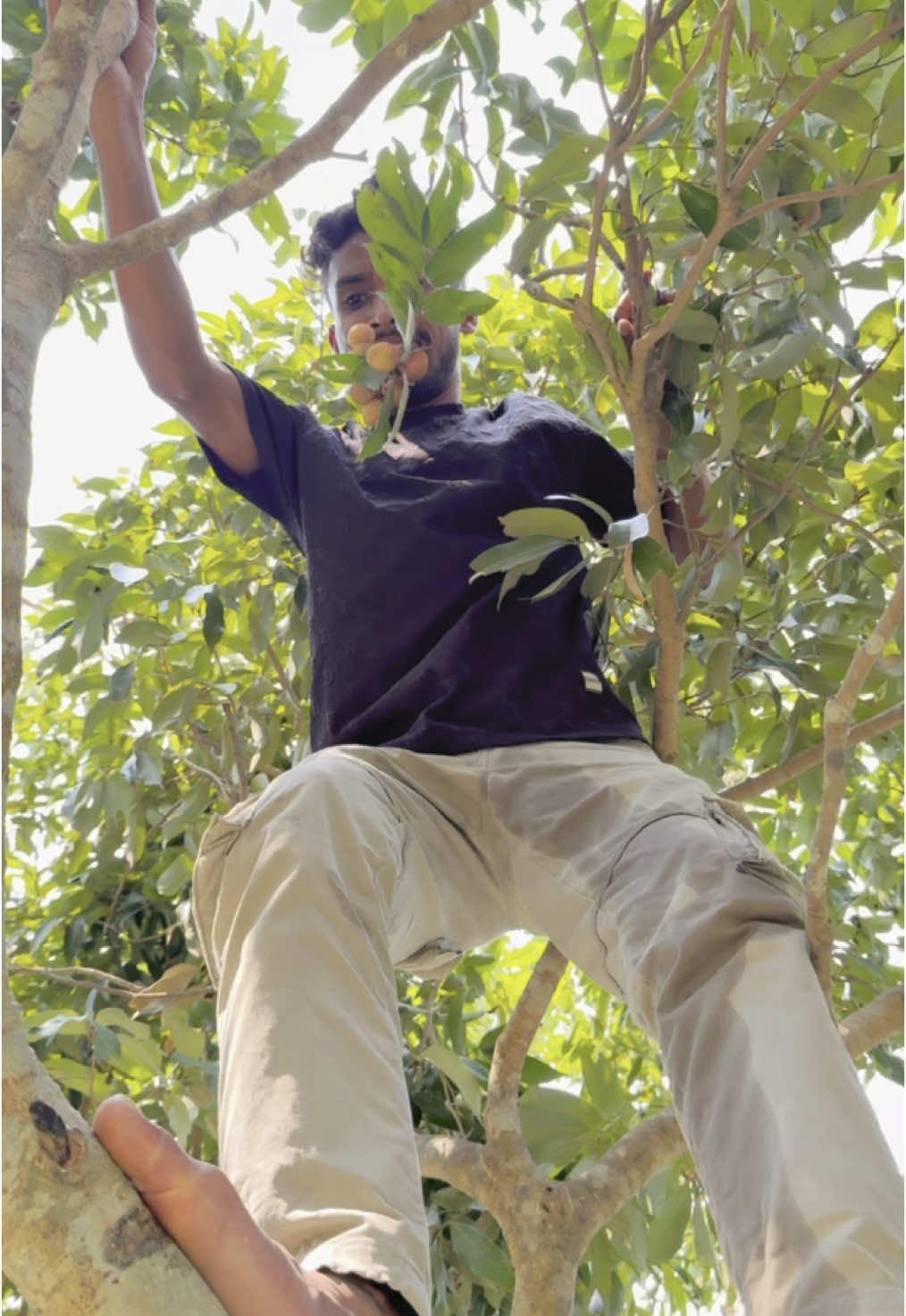 লিচু খাইতা আইসা কি হলো🤣। #comedy #viralshort #tranding #nacha_vai_binodon #tiktoktainment #tiktok 