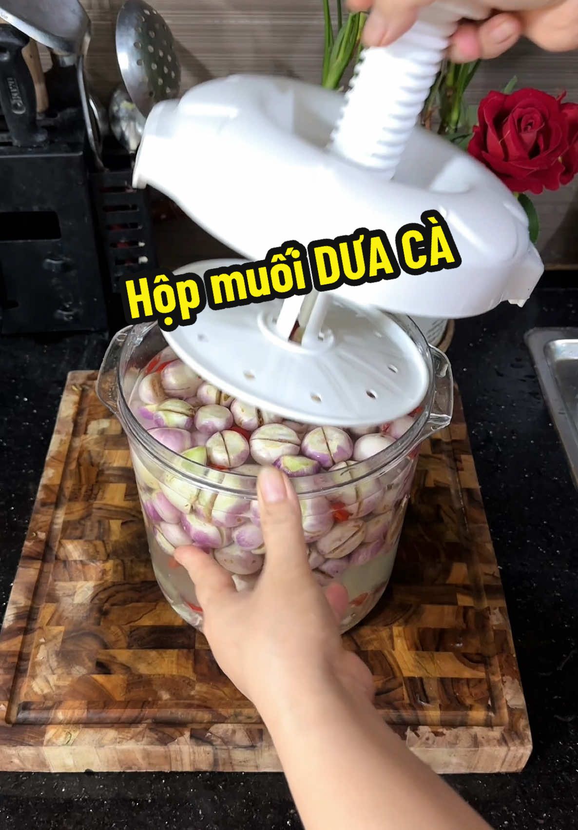 Hộp muối dưa cà tiện lợi#dungmama878 #hopmuoiduacavietnhat #hopmuoiduaca #viral 