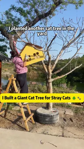 I Built a Giant Cat Tree for Stray Cats from a Recycled Tree 🌳🐾 In today's video, I turned a discarded tree into the ultimate dopamine cat tree for my yard's stray cats! 🐱✨ When a neighbor was about to throw away a 4-year-old tree, I asked if I could have it to build a cat playhouse - and he even delivered it with an excavator! 💪 I reinforced the base with concrete and repurposed an old tire for support. Step by step, I added treehouses, ladders, platforms, scratching posts, hammocks, and even painted everything with non-toxic weatherproof paint. Every piece was handcrafted, from chocolate-stick-style railings to a cozy straw-filled hammock for 'Fat Tiger.' 🐯💤 The cats couldn't wait - they started climbing, scratching, and claiming territory even before I was done building! Their reactions were priceless, and it's moments like these that make it all worth it. 😻 Thanks to everyone who's secretly liked, commented, and sent gifts or food through the comment section - you are the true cat angels. If you'd like to help even more stray cats, feel free to check out the donation link in my bio. Every bit helps turn a stray cat's life around. ❤️ Let me know in the comments what I should build next for these little furballs! #straycat #straycats #straycatsoftiktok #straycatrescue #catrescue #rescuecat #straycatstory #catsoftiktok #tiktokcats #catlover #catlovers #cat #cats #cattok #cathouse #cattree #diyproject 
