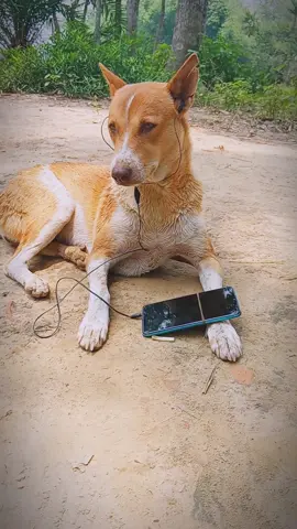 #ভুলে #যদি #সুখ পাও #🤔 #🤣🤣🤣 #❤️ #foryou #foryoupage #fyp #trending #tiktok #viral #funnyvideo #viralvideo #otgrezaul @For You @TikTok Bangladesh @Voicer_Amdadul_10🥺 
