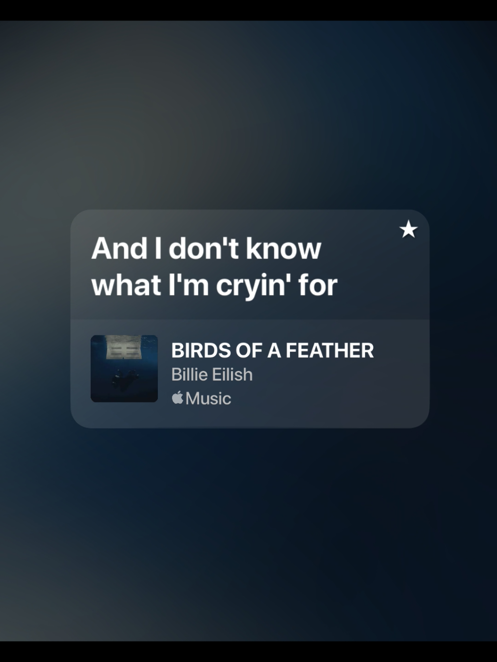don't wanna say goodbye #birdsofafeather #billieeilish #lyrics #liriklagu #spotify #spotifylyrics #songlyrics #songviral #foryou #fyp 