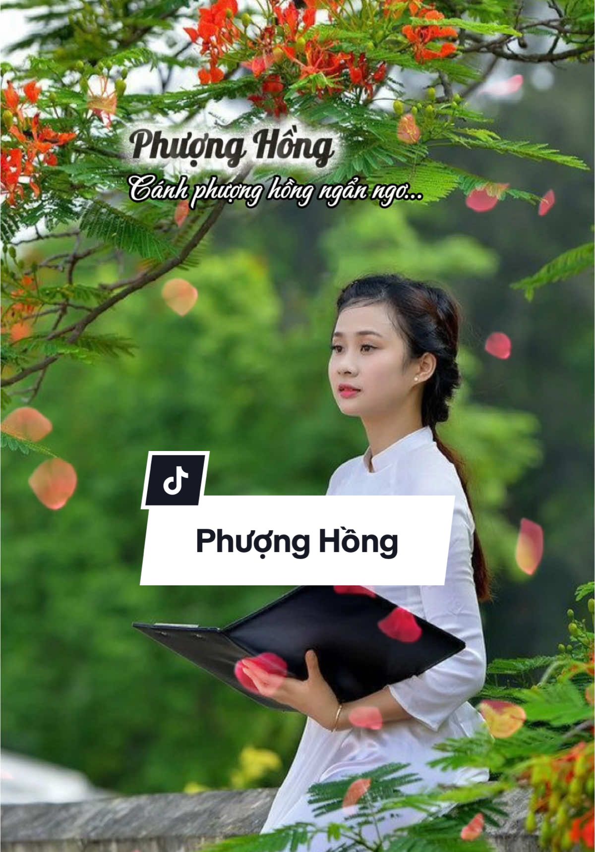 Phượng Hồng - cánh Phượng Hồng ngẩn ngơ #nguoibacgiang #nhactamtrang #nhachaymoingay #nhacche #giadinh #loiphatday🙏 #lenxuhuong❤️ #thinhhanh #chame #quehuong #hay #cha #nhacmoinhat #nhacbolero #nhacbuontamtrang #nhacphatgiao #nhac8x9x #nhacchutinh #me #SamTetBaoVui #tiktokshopTet #nhacthinhhanhtiktok #tuoihoctro #truongxua #kyniem #daisuCCTT #nhaclong #tuoihoctro #nhaccamxuc #phuonghong 