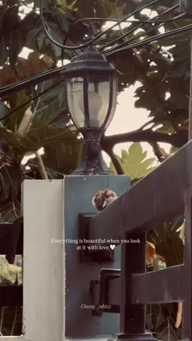 Azhagu 🕊️.#. . . #life#hope#beauty #nature #aesthetic #Love #retro #trending #goviral #tiktoktrends_tk #cor #world #better #fyppppppppppppppppppppppp #reels #ig #status #quotes #story #memories #🤍🤍🤍 