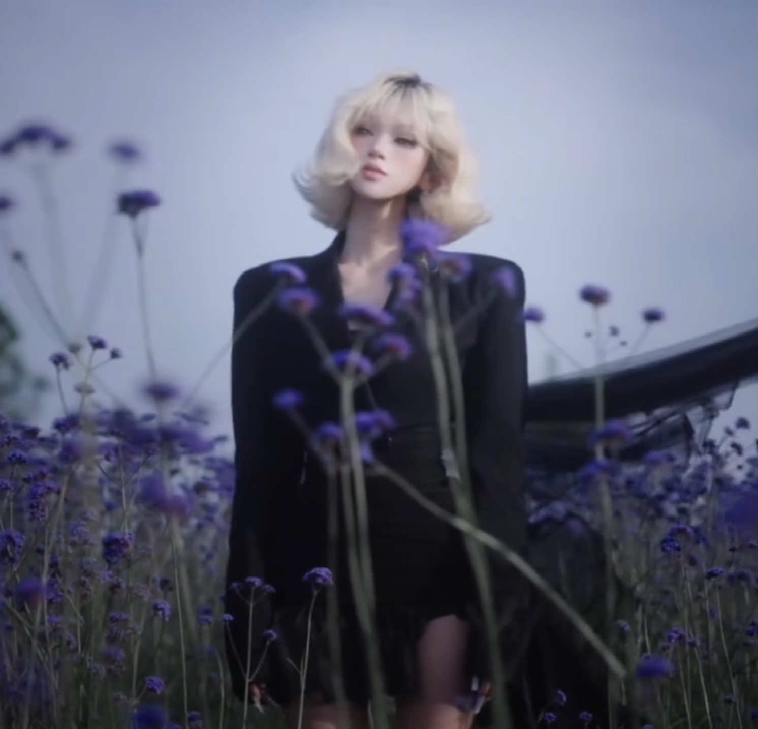 凌晨四点 我看见海棠花未眠