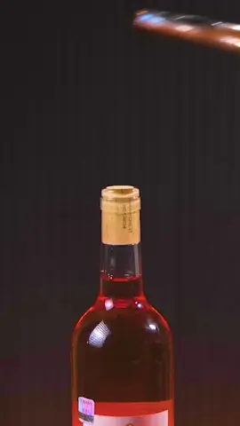 He gives second life to wine corks ♻️ Eco-Hero back at it again 👜