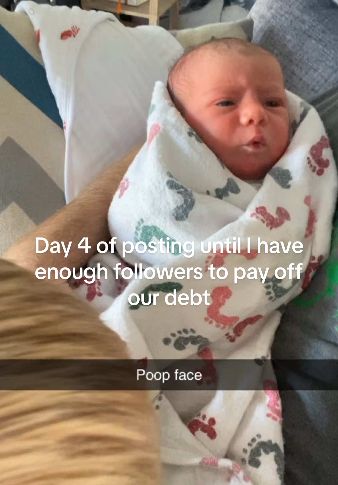 Poor baby. Lol #poopface #baby #newborn #momlife #daughter #family #loveyou #funnytok #babygirl #sha #fyp