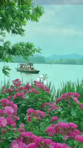 Út miền tây nhạc hay mỗi ngày 