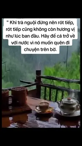 Hãy để cá về với nước để nó quên chuyện trên bờ.