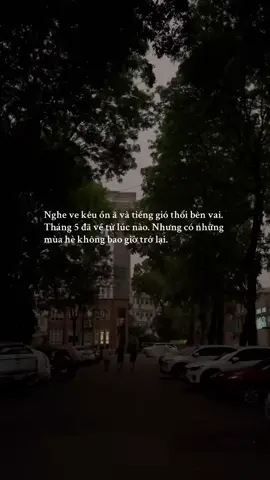 Có phải mùa hè vẫn luôn như vậy, chỉ có chúng ta là đã khác? #hoainiem #thoigian 