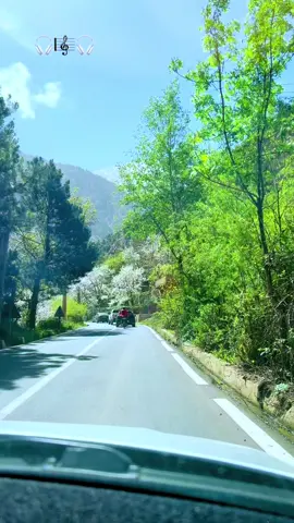 Moôn