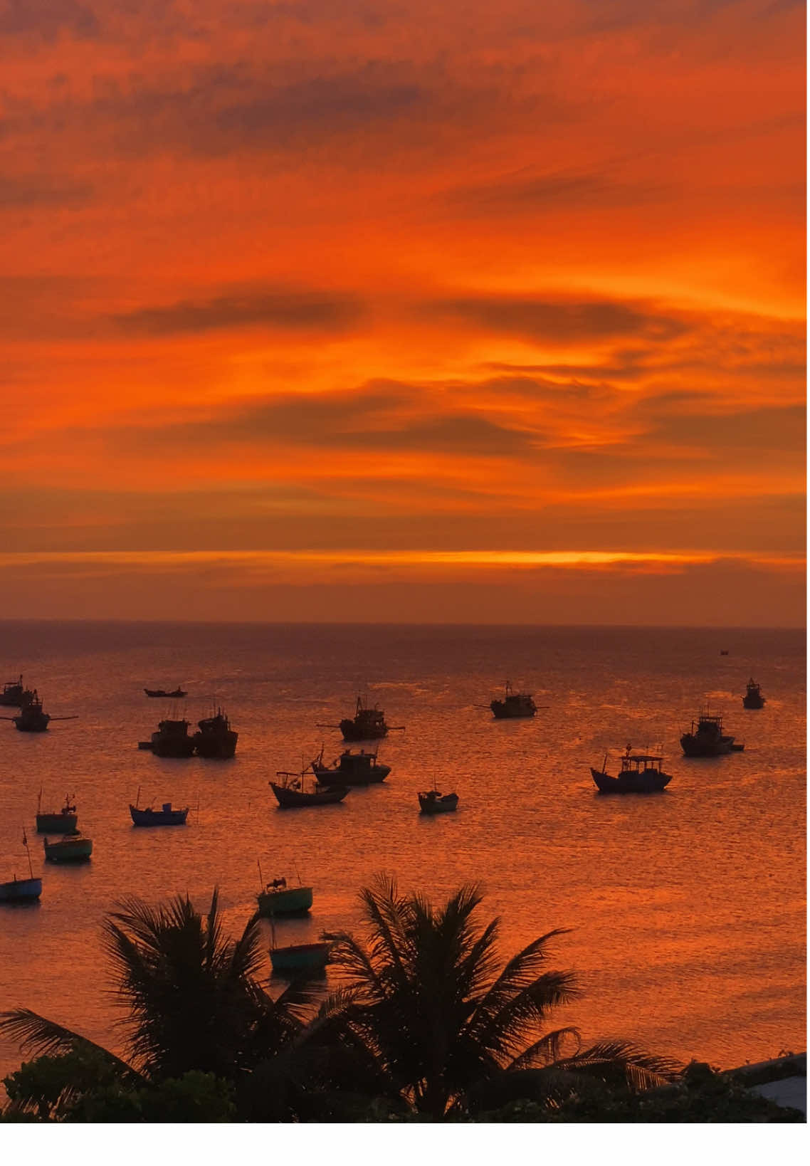 Người ơi nếu như em là anh em có dám tin ? #muine #phanthiet #binhthuan #bien #hoanghon #muahe #muinephanthiet 