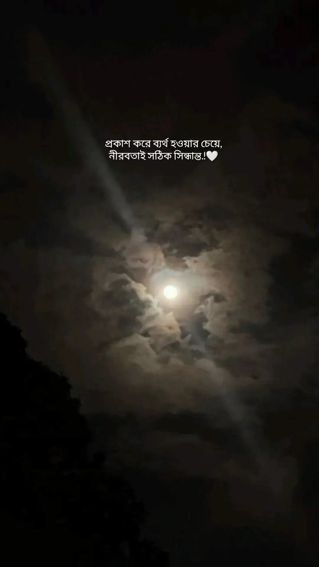 প্রকাশ করে ব্যর্থ হওয়ার চেয়ে, নীরবতাই সঠিক সিন্ধান্ত.!🤍 #foryou  #fypシ  #fyp 