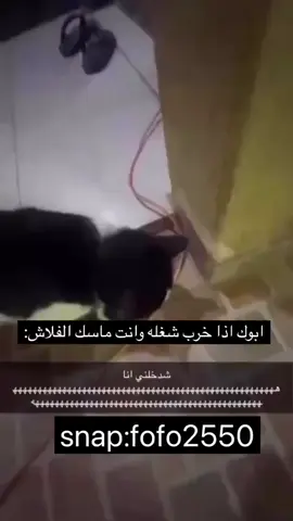 #الشعب_الصيني_ماله_حل😂😂 