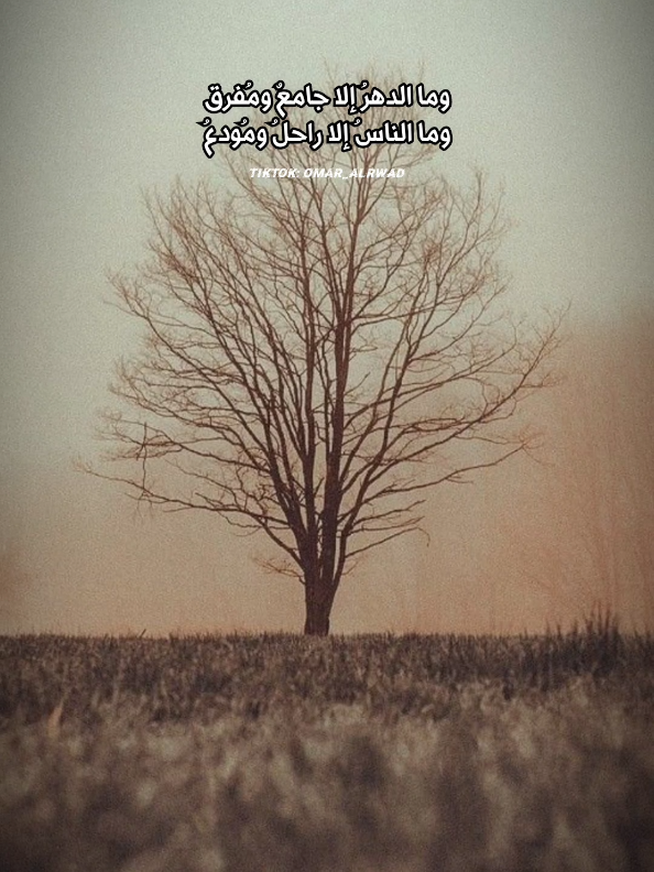 وَإِن نَحنُ مِتنَا فَالقيامةُ تَجمعُ 📿🤍 #بوح_القصّيد🎼 #عمر_الرواد #شعروقصايد #قصيده 