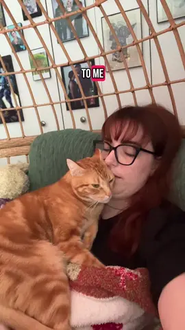 I hope y’all aren’t sick of Otto because he sure isn’t sick of me yet. #orangecat #cat #catsoftiktok 