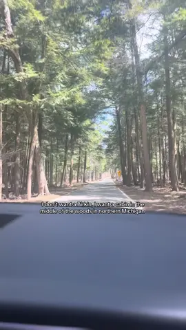 A girl can dream #cabin #woods #northernmichigan #harborsprings #michigan 