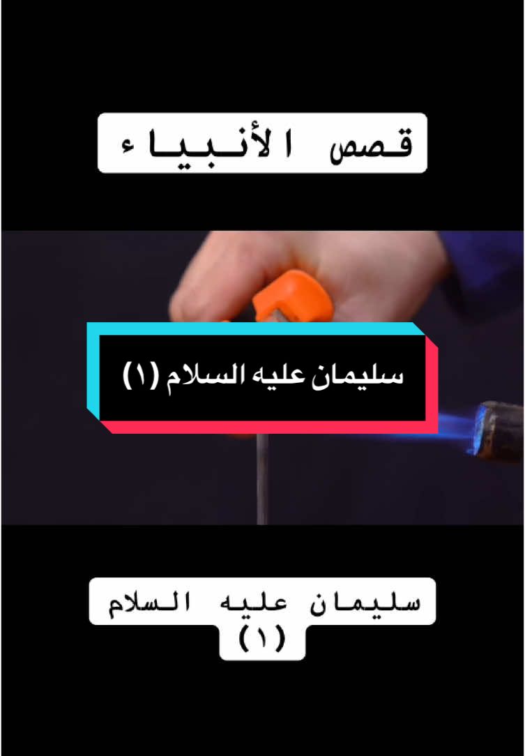 سليمان عليه السلام ١ احسن القصص قصص الانبياء #سليمان_عليه_السلام #احسن_القصص #قصص_الأنبياء #قصص_دينية❤🌸 #waytojannah511 #الطريق_إلى _الجنة #الطريق_الى_الجنة 