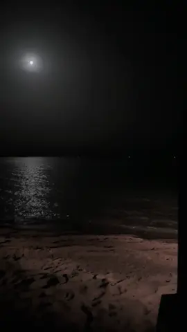 #بحر #تبوك #اكسبلور #حقل 