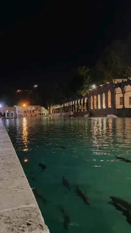 #şanlıurfa #balıklıgöl #fypシ #viralvideo #stories  #keşfet 