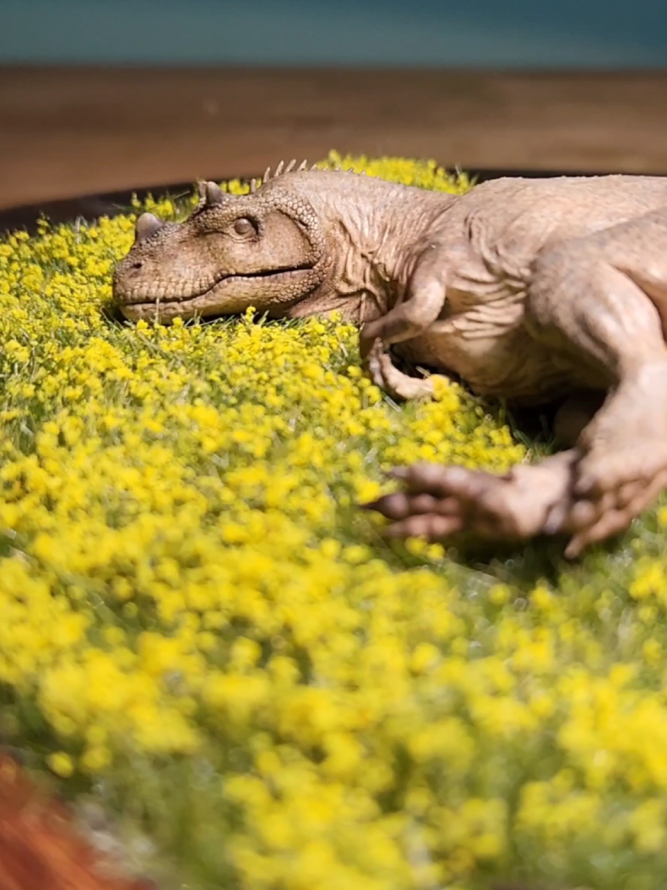 มาแล้วครับ คลิปขั้นตอนการสร้างdioramaแบบง่ายๆ สเตปบายสเตปกันเลย Behind》 Ceratosaurus sleeping diorama P.S. It's just sleeping.🌼😴🌼  Scale : 1/35  View the full post & Diorama :  . . #ceratosaurus #spring #dinosaurmodel #miniature #palaeoart #dinosaurios #trees #dinosaurs #dinosaursofinstagram #forest #dinossauro #bloom #dioramas #paleoart #diorama #nature #animal #artoftheday #dioramaart #animals #paleontology #miniatures #dioramacreators #prehistoric #instaartist #dioramaset #yellowflowers #paleoartist #wildlife #sbjdns21