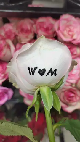 #W.. M#for_you #الحبايب #حروف_الحب #مصر_السعودية #اكسبلور 