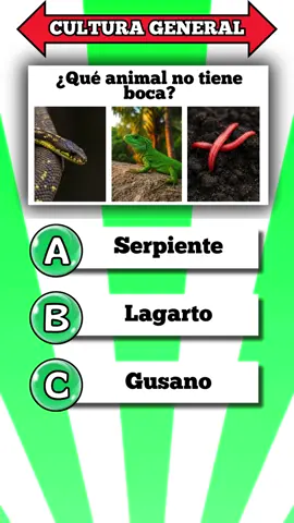 Quiz cultura general!!! #quiz #culturageneral #preguntas #preguntasyrespuestas #trivia #adivina #quiztime 