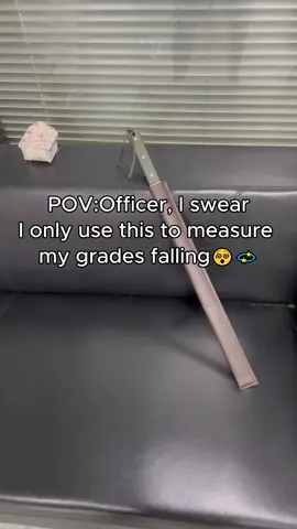 #coldwrapon #bigruler #fyp #steelruler #tools #defensetools 