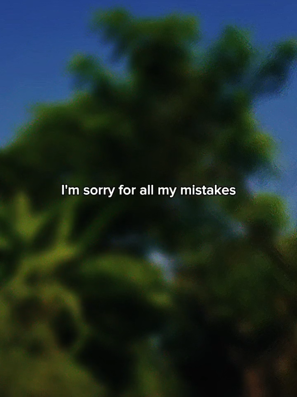 I'm Sorry for All My Mistakes...#Love #loveyou #lovequotes #Relationship #TrueLove #sorry #mistakes #fypp 