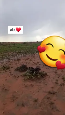 #scw_kusaliya_nabiga_scw 