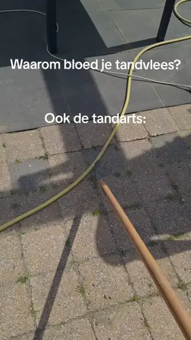 Niet gek dat het dan gaat bloeden of wel?! #tandarts #nederlands #vj #meme #fy #fyp 