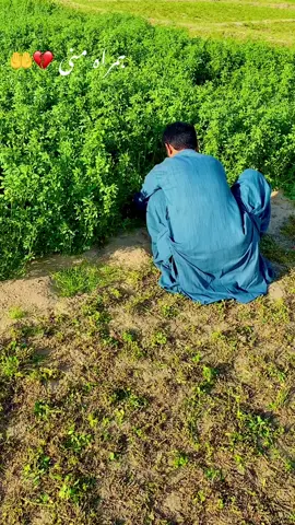 🤲🤲🤲🌿🤲🤲🤲پُل جان