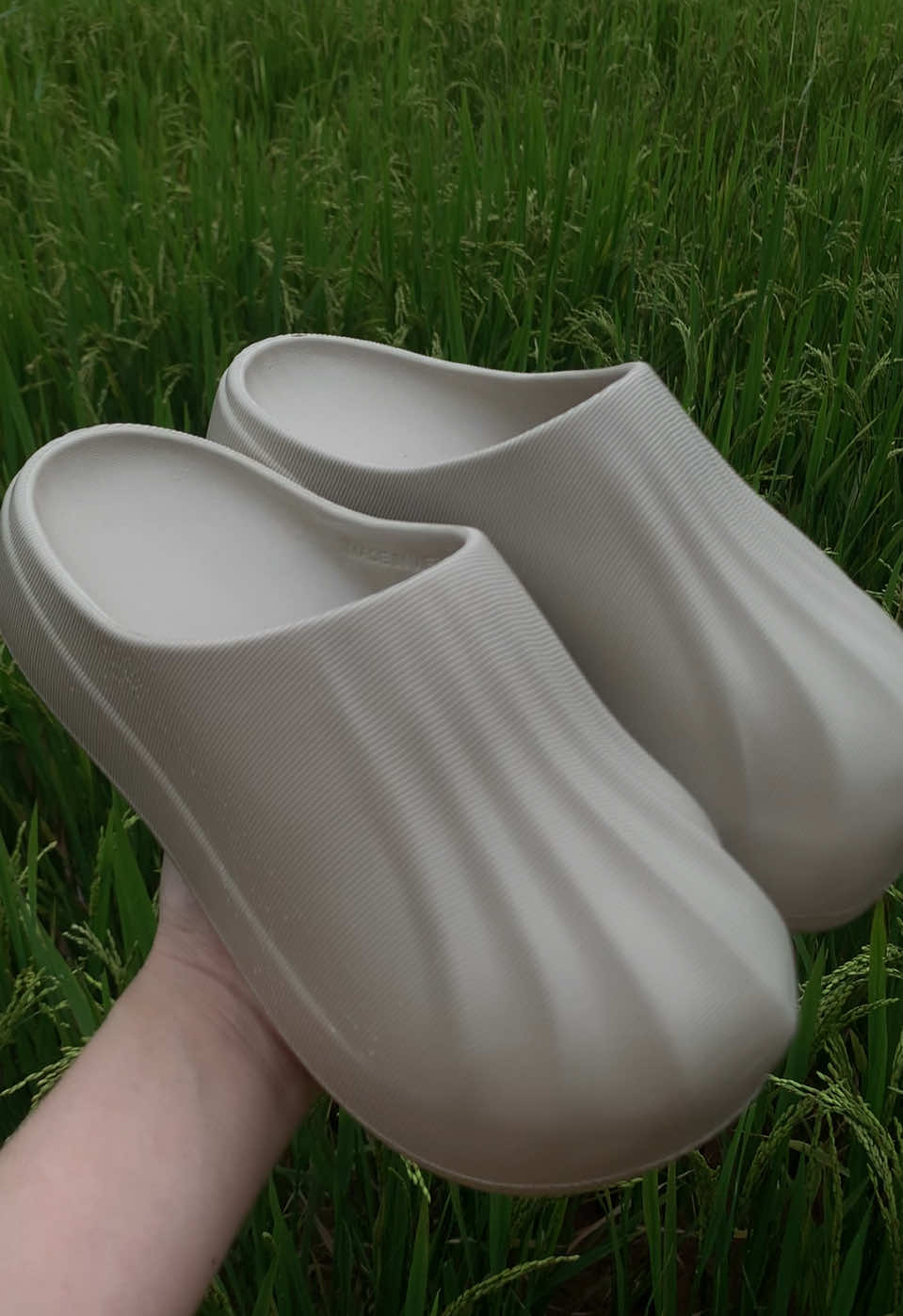 Về quê trồng rau nuôi cá  #mia_shoes #xuhuong #viralvideo #giaysandal 