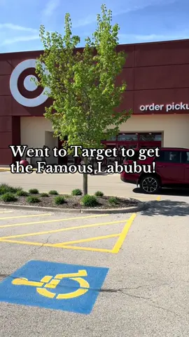 #labubu #shopping #target #labubuthemonsters #labubus 