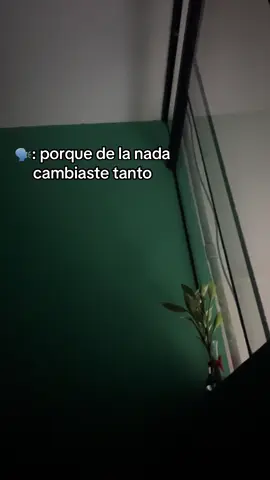 🕊️