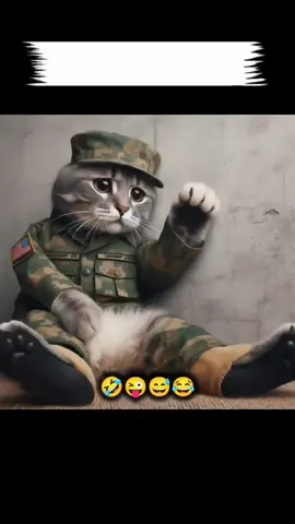 please Tiktok team don't under review my videos please 🙏@ᒪᗩᎥᗷᗩᗯᖇᎥ丅ᗴᔕ🥰 @zofiaa0314 @TiktokPakistanOfficial #foryoupage #fyp #viralvideo #trending 