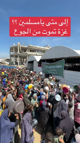 #غزة_فلسطين #غزة_فلسطين #الجزائر #تونس #مصر #السعودية #اليمن #العراق #الكويت #قطر #لبنان #كند #هولندا #كندا #برلين #السودان #ليبيا #fyp #fyp 
